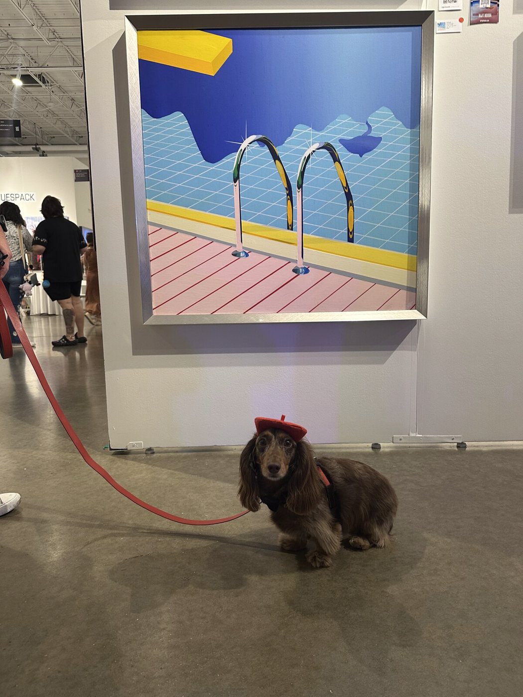 A small dog in a red hat sitting in front of Azur Riviera
